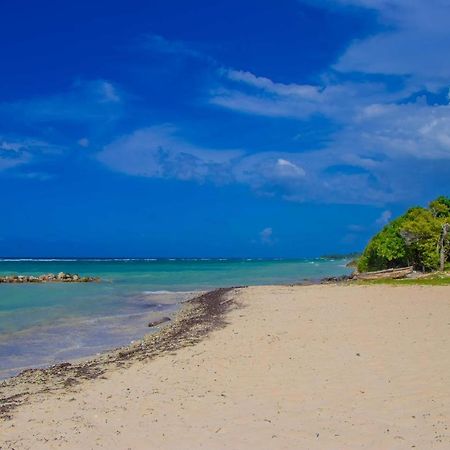 Malibu Ocean View Studio Apartment Teluk Montego Bagian luar foto