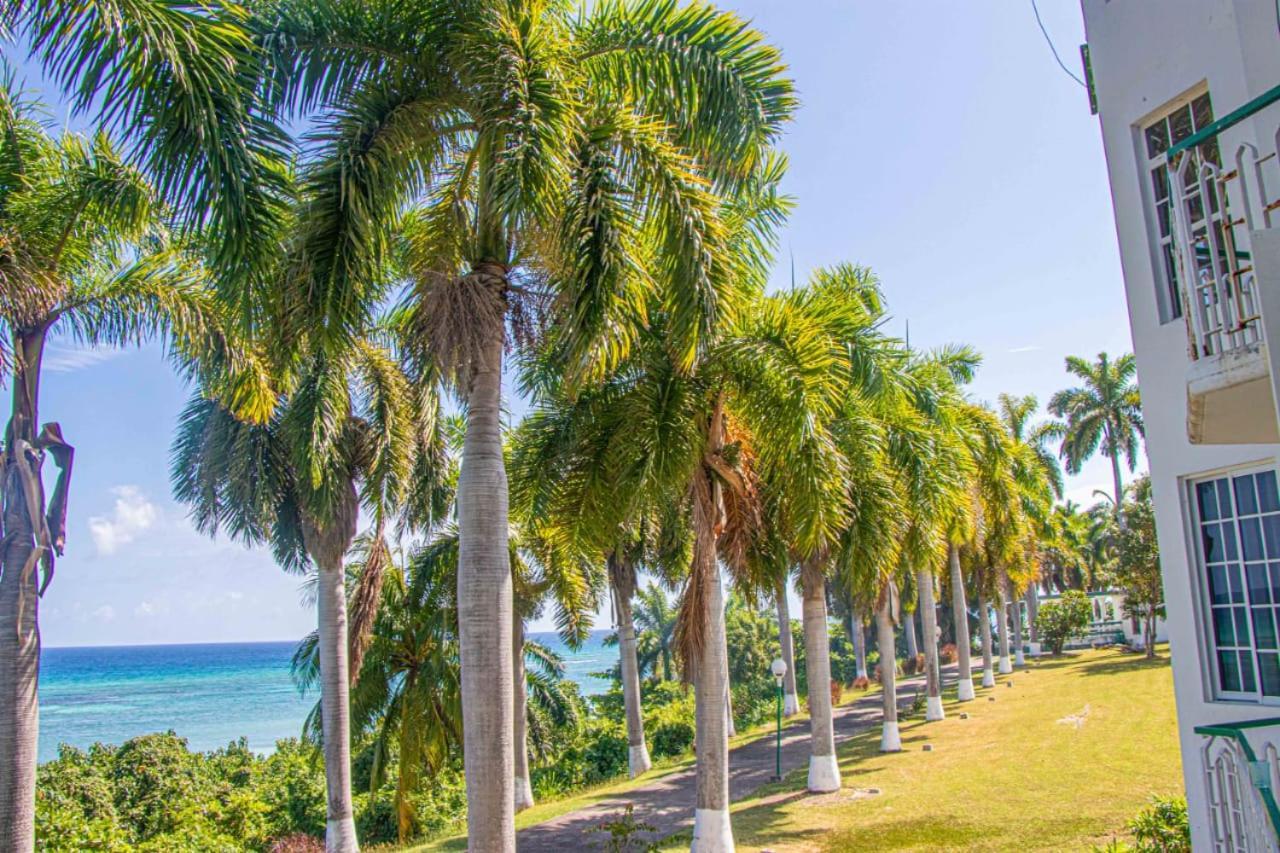 Malibu Ocean View Studio Apartment Teluk Montego Bagian luar foto