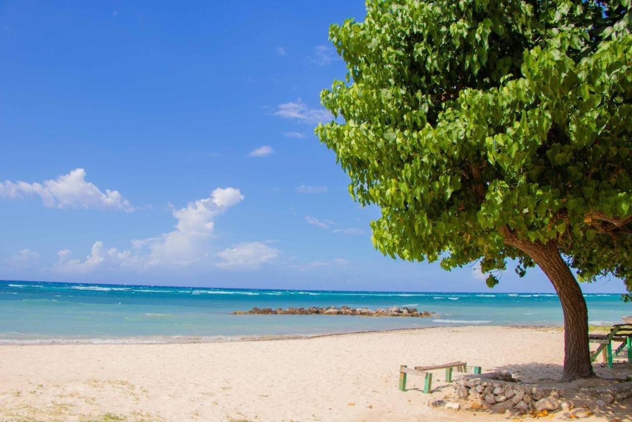 Malibu Ocean View Studio Apartment Teluk Montego Bagian luar foto